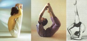 Picture collage from the photos of the Yoga Online Exhibition