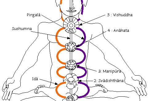 3nadis-Image of 3nadis-Image of V.S.Basati on yogacarol.co.uk