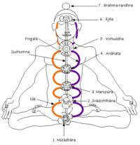 3nadis-Image of 3nadis-Image of V.S.Basati on yogacarol.co.uk