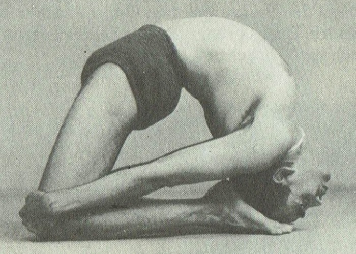 Laghu Vajrasana-B.K.S. Iyengar