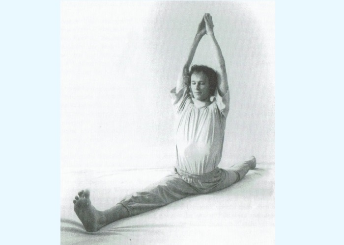 Hanumanasana-Heinz Grill